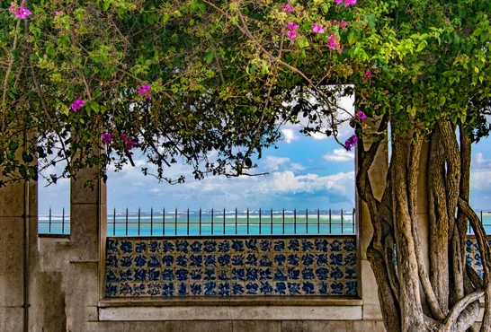 The Best Place to Live in Portugal: A Guide For Foreigners